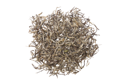 SILVER   NEEDLE