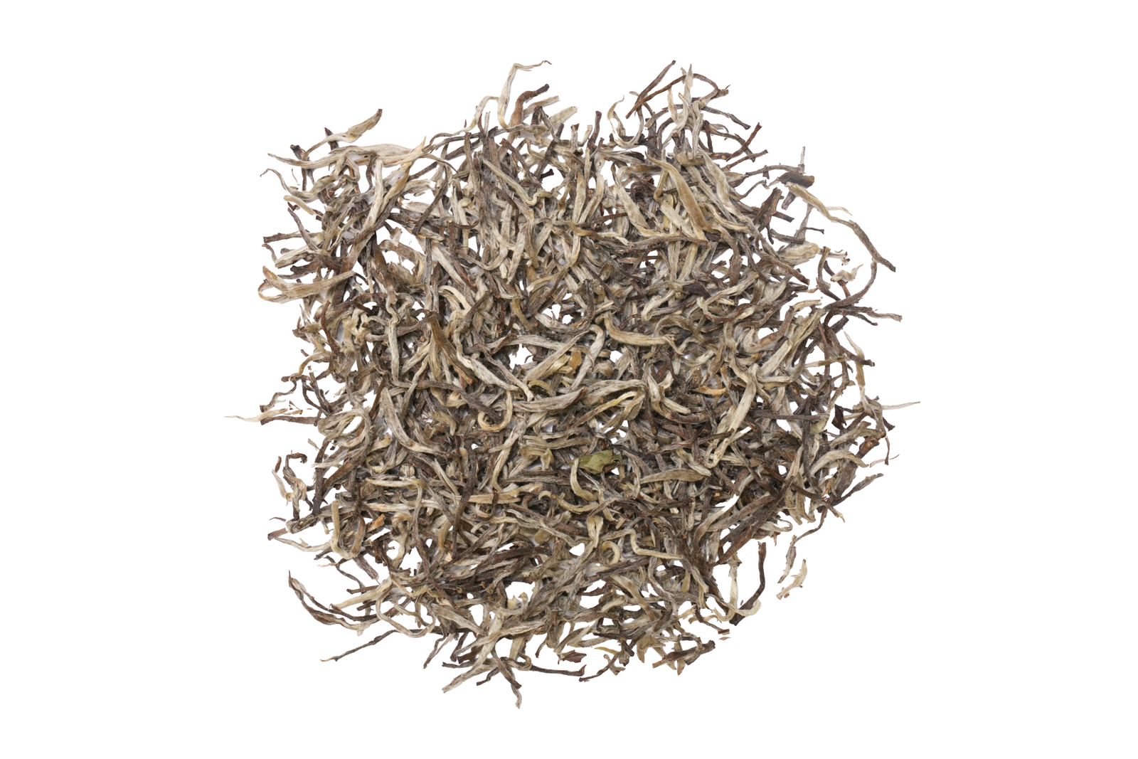 silver needle